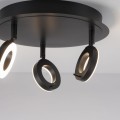 Lampa sufitowa SILEDA Paul Neuhaus 6788-13