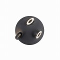 Lampa sufitowa SILEDA Paul Neuhaus 6788-13