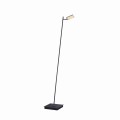 Lampa podłogowa PURE-MIRA Paul Neuhaus 356-18