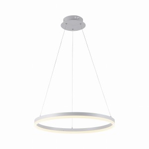 Lampa wisząca TITUS Paul Neuhaus 2382-16