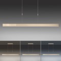 Lampa wisząca PURE-MOTO Paul Neuhaus 2525-60