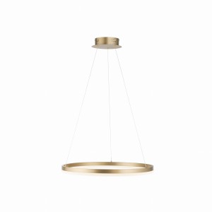Lampa wisząca TITUS Paul Neuhaus 2382-60