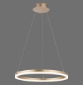 Lampa wisząca TITUS Paul Neuhaus 2382-60