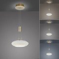 Lampa wisząca Q-ETIENNE Paul Neuhaus 2075-60