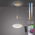 Lampa wisząca Q-ETIENNE Paul Neuhaus 2075-60