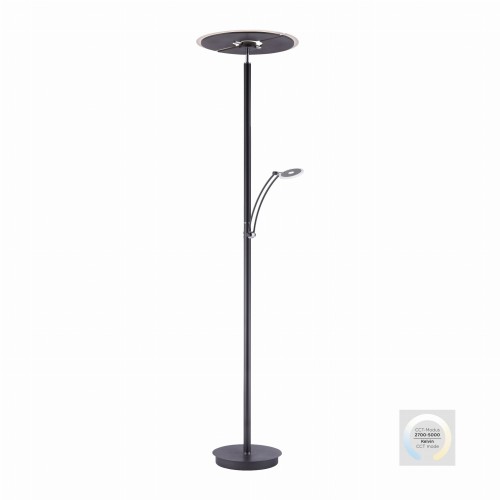 Lampa podłogowa ARTUR Paul Neuhaus 673-13