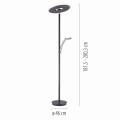 Lampa podłogowa ARTUR Paul Neuhaus 673-13