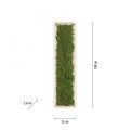 Lampa sufitowa GREEN KNUT 15623-66 Leuchten Direkt