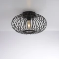 Lampa sufitowa RACOON 11410-18 Leuchten Direkt