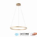 Lampa wisząca RITUS Just Light 15394-60