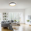 Lampa sufitowa EMILIA Just Light 14347-15