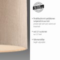 Lampa wisząca GREEN DURO Just Light 14892-39
