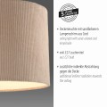 Lampa sufitowa GREEN DURO Just Light 14891-39