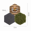Lampa sufitowa GREEN HEX Just Light 15199-70