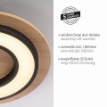 Lampa sufitowa TOLA Just Light 14560-18
