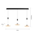Lampa wisząca sufitowa LAUTADA 3 - punktowa czarny PaulNeuhaus - 2081-18