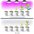 Żarówka do uprawy roslin,  wspomagająca wzrost i kwitnienie 9W LED E27 PLANTY B Kobi Design