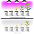 Żarówka do uprawy roslin,  wspomagająca wzrost i kwitnienie 9W LED E27 PLANTY B Kobi Design