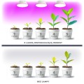 Żarówka do uprawy roslin,  wspomagająca wzrost i kwitnienie 9W LED E27 PLANTY W Kobi Design