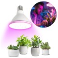 Żarówka do uprawy roslin,  wspomagająca wzrost i kwitnienie 9W LED E27 PLANTY W Kobi Design