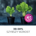 Żarówka do uprawy roslin,  wspomagająca wzrost i kwitnienie 24W LED E27 PLANTY Kobi Design