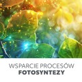 Żarówka do uprawy roslin,  wspomagająca wzrost i kwitnienie 24W LED E27 PLANTY Kobi Design