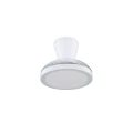 BREEZE WHITE 18198 TK Lighting
