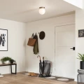 Plafon Albers - 1 źródło światła - Szampański brąz KL-ALBERS-F-G-CPZ Elstead Lighting