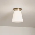 Plafon Albers - 1 źródło światła - Szampański brąz KL-ALBERS-F-T-CPZ Elstead Lighting