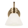 Kinkiet Farum - 1 źródło światła - Szampański brąz KL-FARUM1-CPZ Elstead Lighting