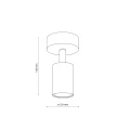 Lampa sufitowa NEX SABIA 1XGU10 11366 TK Lighting
