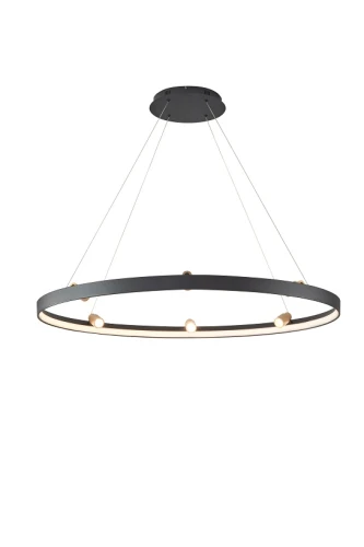 6206-0710 Lampa wisząca LED owalna PIGNANO Aviano Lighting