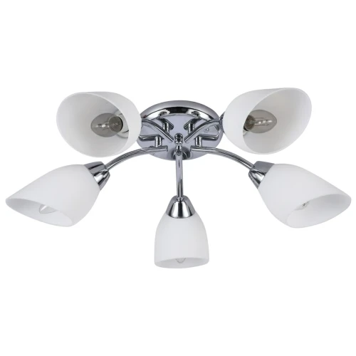 Lampa sufitowa PORTOS 5xE14 ML2267 Milagro