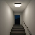 Plafon Nemo Czarny 36W LED ML1836 Milagro