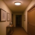 Plafon ORINOKO 36W LED Ø480 ML1840 Milagro