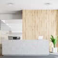 Plafon Marlon 12W 4000K Biały IP54 EKP2303 Eko-Light