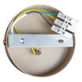 Lampa sufitowa DEX 2xE14 ML2118 Milagro
