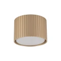 Spot FERRO Szampan 1xGX 53 11657 TK Lighting