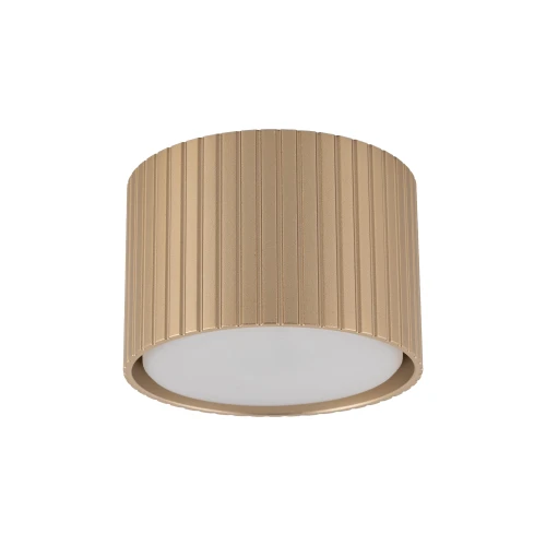 Spot FERRO Szampan 1xGX 53 11657 TK Lighting
