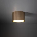 Spot FERRO Szampan 1xGX 53 11657 TK Lighting