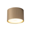 Spot FERRO Szampan 1xGX 53 11657 TK Lighting