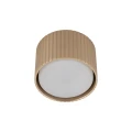 Spot FERRO Szampan 1xGX 53 11657 TK Lighting