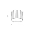 Spot FERRO Szampan 1xGX 53 11657 TK Lighting