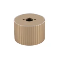 Spot FERRO Szampan 1xGX 53 11657 TK Lighting