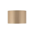 Spot FERRO Szampan 1xGX 53 11657 TK Lighting