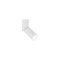 ELARIS WHITE S LAMPA SUFITOWA 1X GU10 MINI MR11 11252 TK Lighting