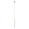 FERRO SABIA CHAMPAGNE 500 LAMPA WISZĄCA 1XG9 11423 TK Lighting