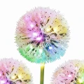 Lampka Solarna Garlic Color RGB IP44 EKO2493 Eko-Light