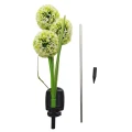 Lampka Solarna Garlic Color RGB IP44 EKO2493 Eko-Light