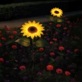 Lampka Solarna Sunflower 3000K IP44 EKO2494 Eko-Light